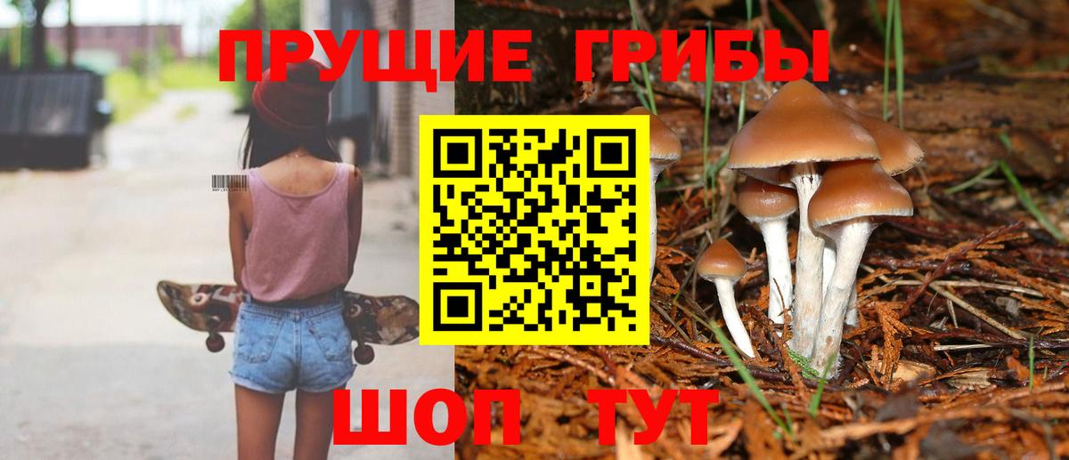 Мыски  Псилоцибиновые грибы GOLDEN TEACHER  Вход с VPN  Галлюциногенные грибы мухоморы 